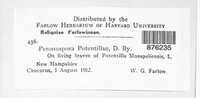 Peronospora potentillae image